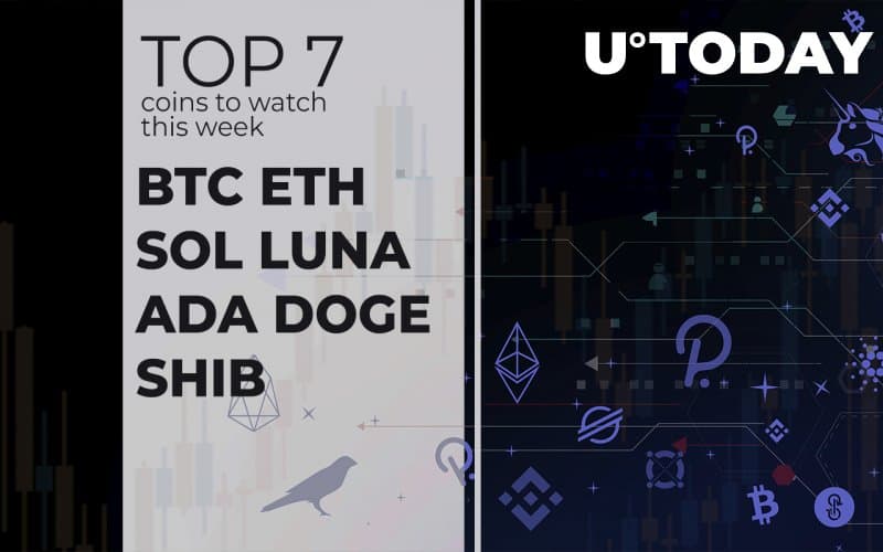 Top seven coins to observe this week: BTC, ETH, SOL, LUNA, ADA, DOGE, and SHIB