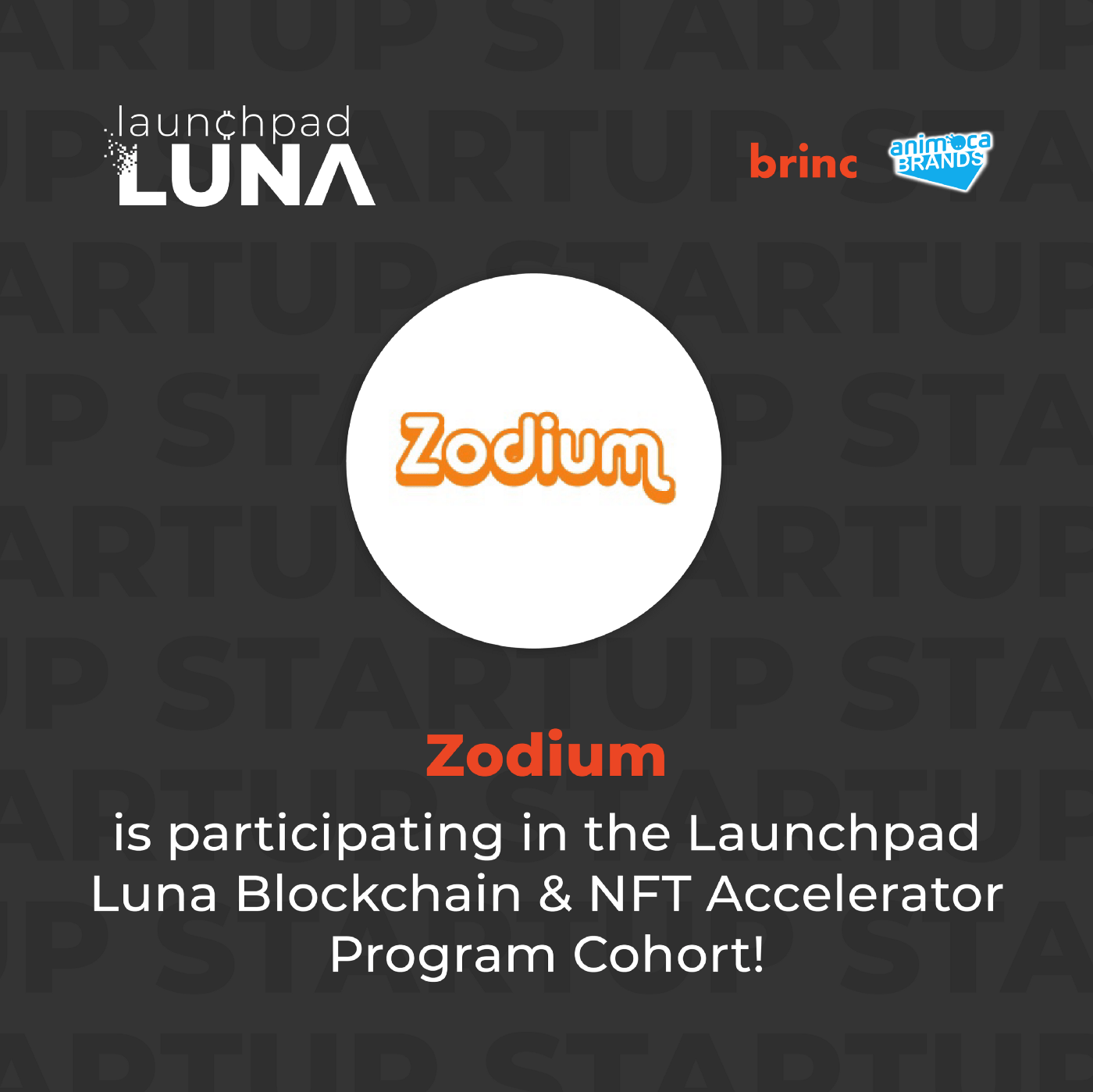 Zodium joins Launchpad Luna’s Fall 2021, co-hosted by Brinc and Animoca Brands