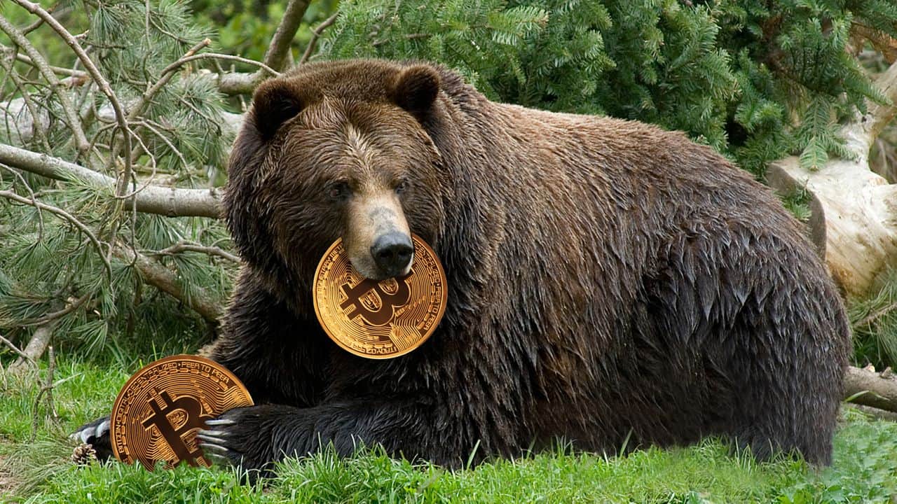 Bitcoin drops to USD 36,800 due to increasing instability from Ukraine