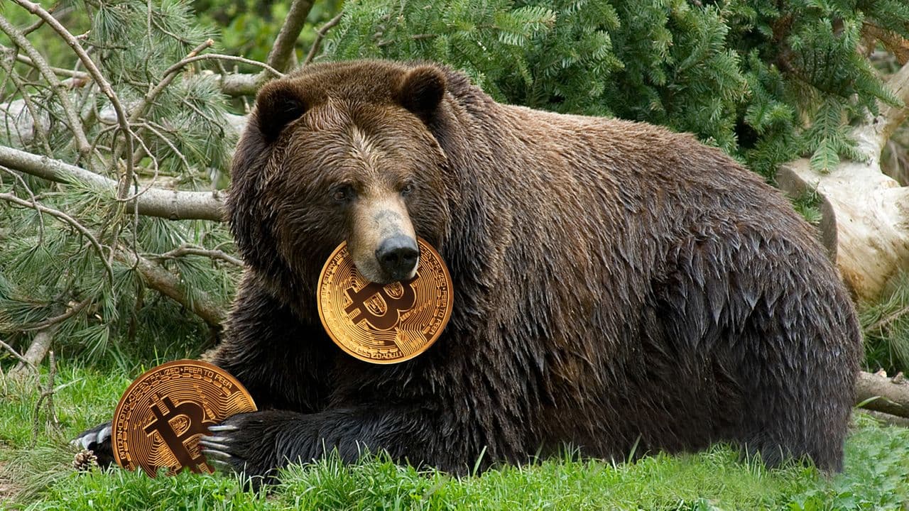 Bitcoin drops to USD 36,800 due to increasing instability from Ukraine