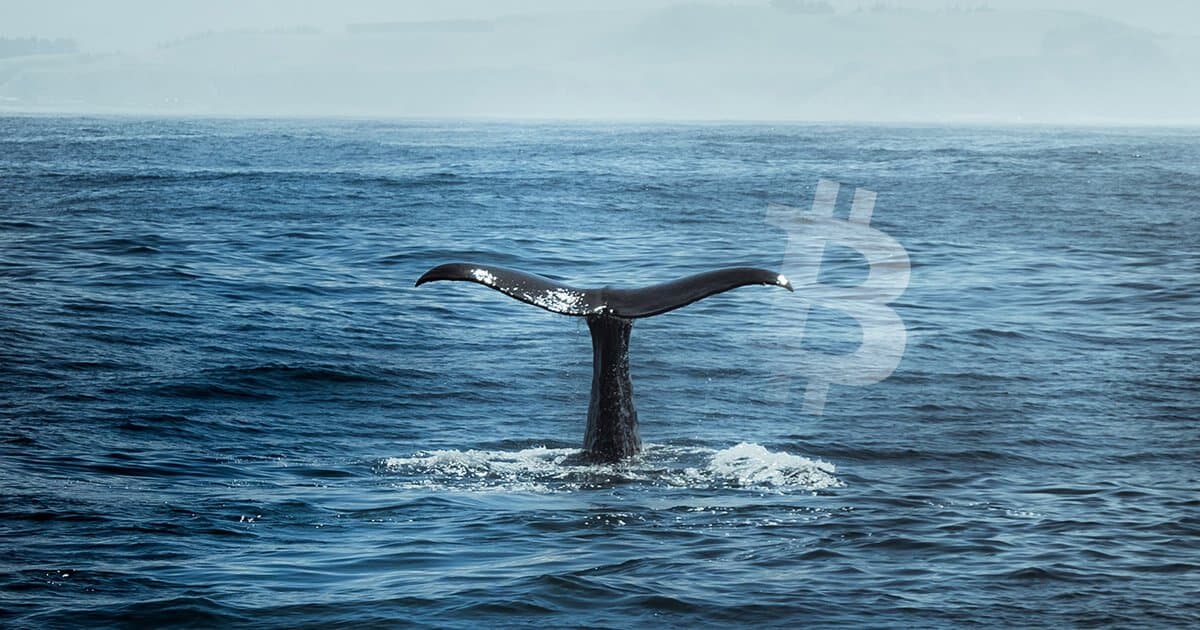 Bitfinex Hacker moves $ two.five billion really worth of Bitcoin on New Year’s Day
