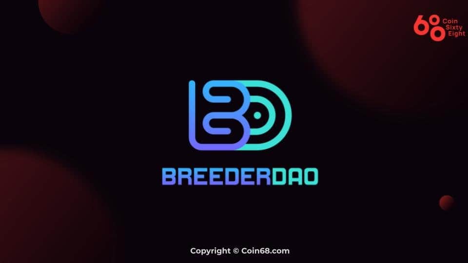 BreederDao venture overview (BREED coin) – Latest info and updates on the venture