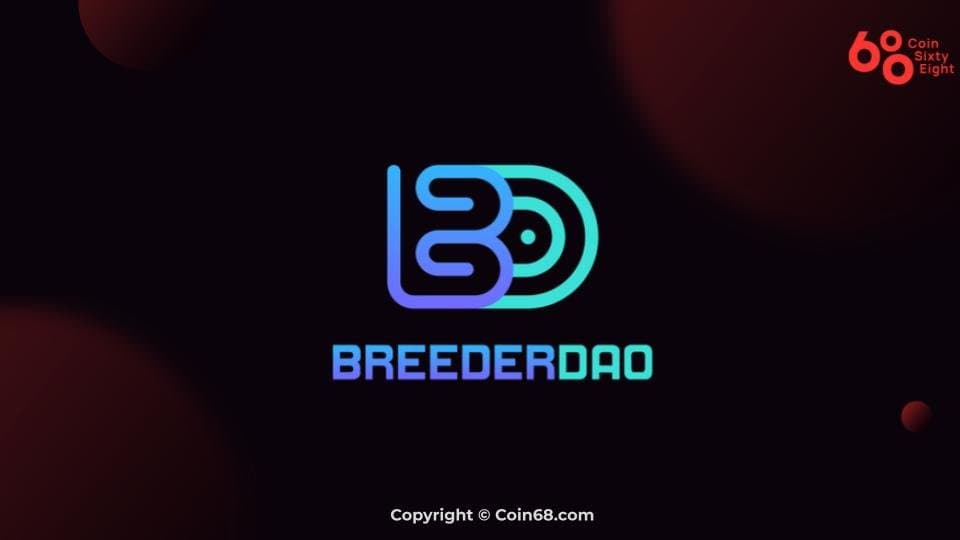 BreederDao venture overview (BREED coin) – Latest info and updates on the venture