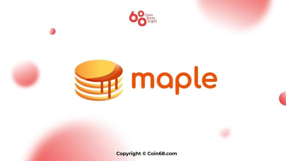 Maple Project Evaluation (MPL Coin) – The hottest information and facts and updates on the venture