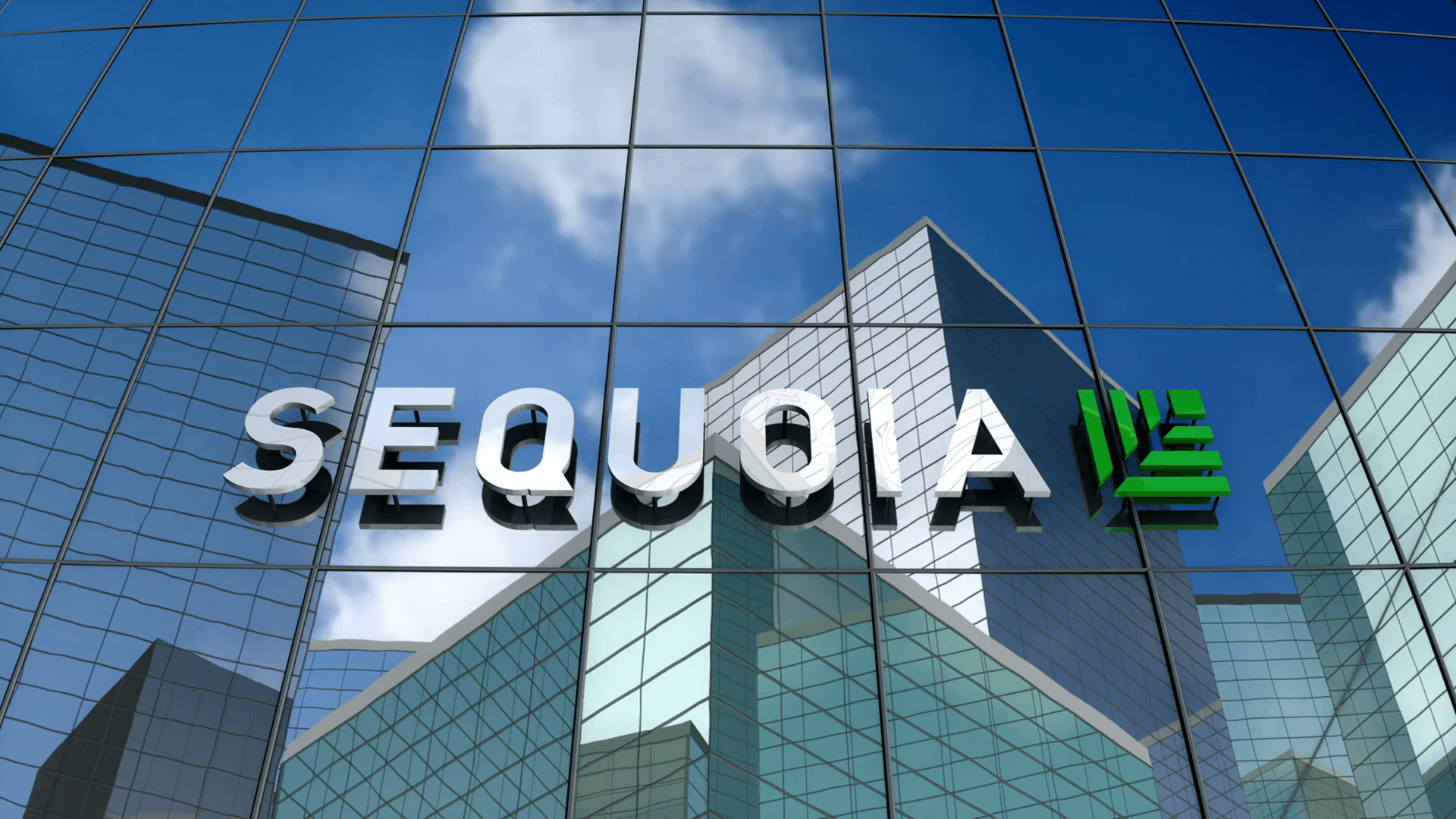 Sequoia “all hands” on Web3, top the $ 450 million investment round in the Polygon blockchain