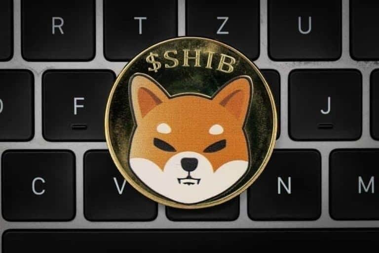 Shiba Inu (SHIB) “dropped” far more than thirty,000 owners in a single day