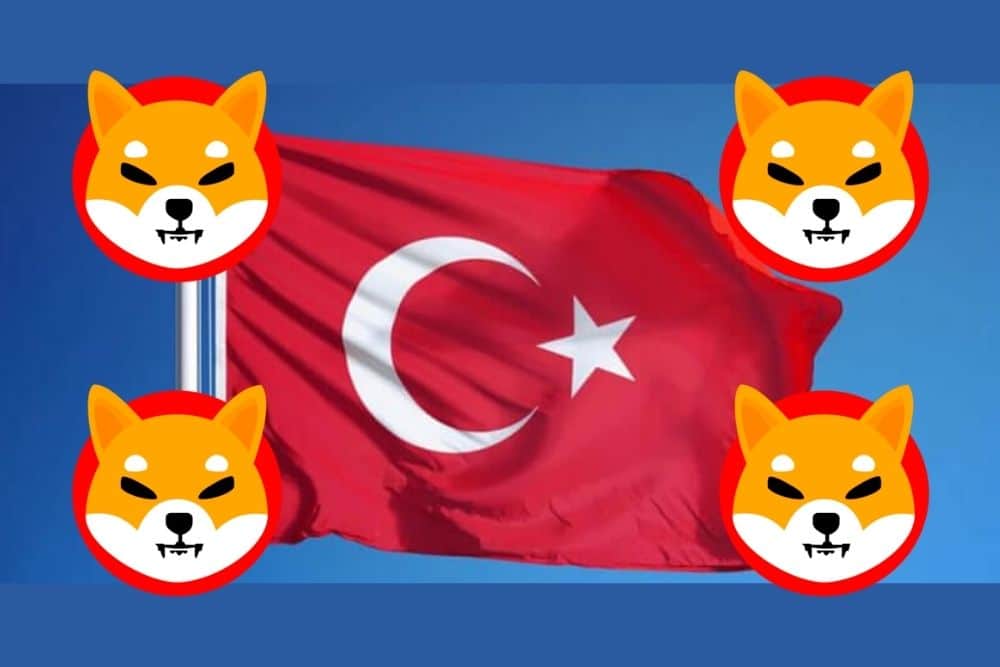 The Turkish Economy Minister discusses the application of SHIB with the Shiba Inu advancement workforce