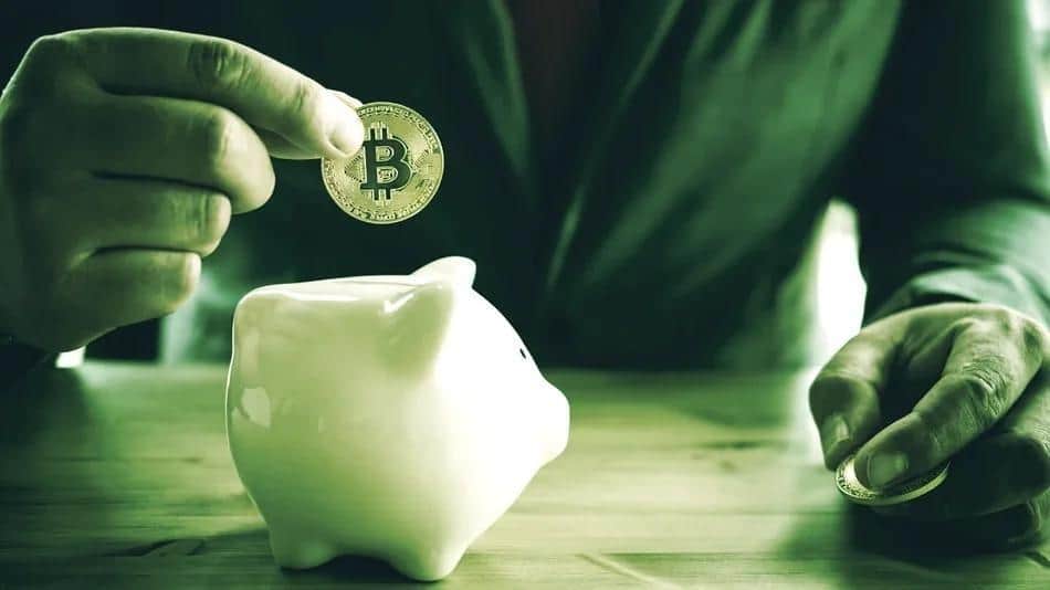 Finblox, Nexo, Celsius, Blockfi – Which Crypto Savings Platform Is Best?
