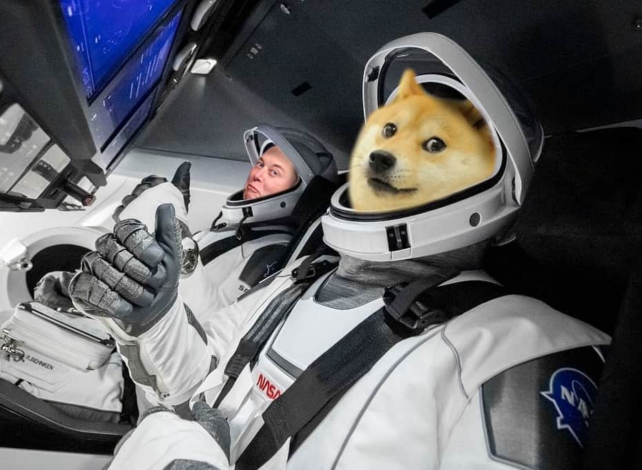 Elon Musk reveals SpaceX will be accepting Dogecoin (DOGE) payments quickly.