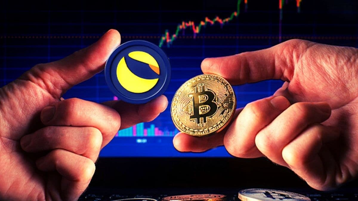 Luna Foundation Guard purchased a further $ one.five billion really worth of Bitcoin, BTC lowered the selling price to $ 36,500