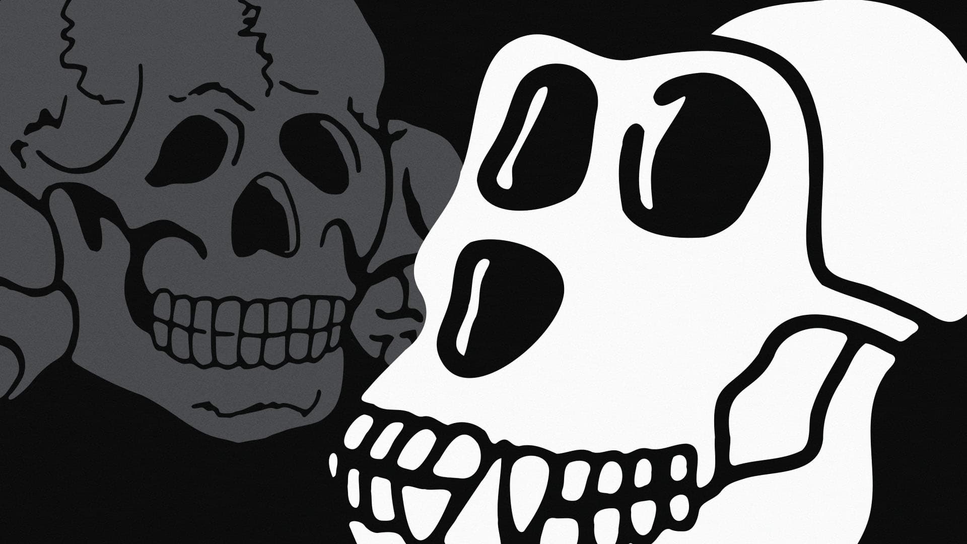 Bored Ape Yacht Club (BAYC) was accused of “supporting fascism” and “racist”, denied the founder.