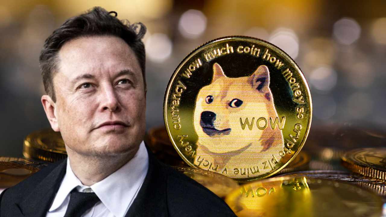 Elon Musk announced his help for Dogecoin due to the fact he wished to “empathize” with the bad