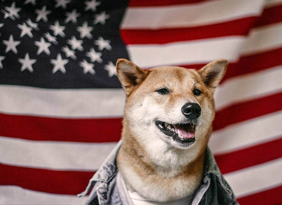 The US Senate candidate desires to propose Dogecoin (DOGE) as a currency