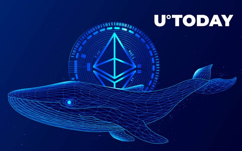 Massive Ethereum Whales Return to Market After 15% Price Rise