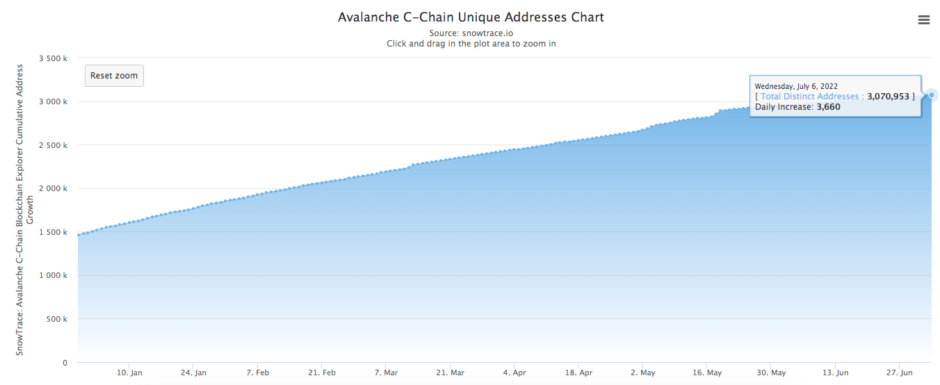 Looking back on the initially six months of 2022: Avalanche and the “subnet dream”
