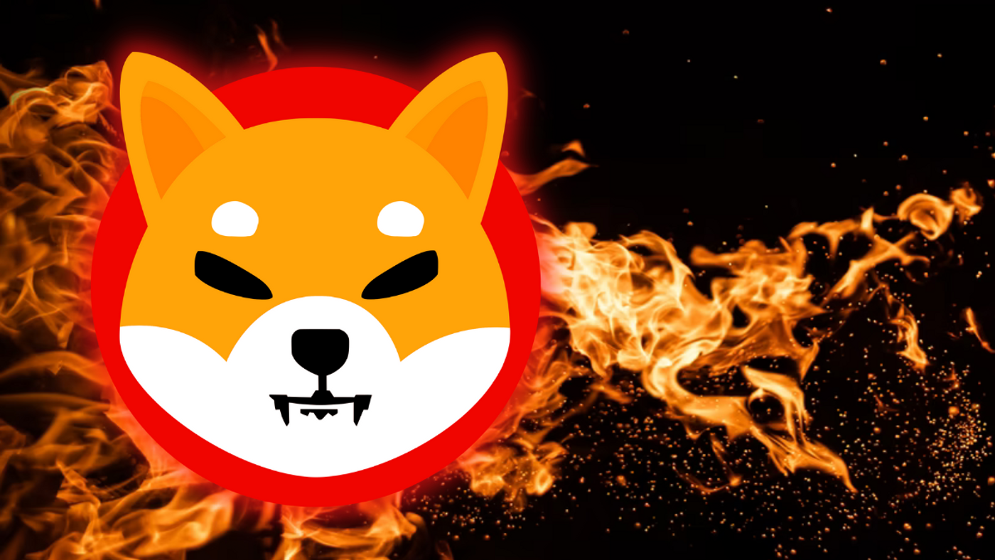 Shiba Inu had a dilemma with the gate burning SHIB coins, producing the local community very “outraged”