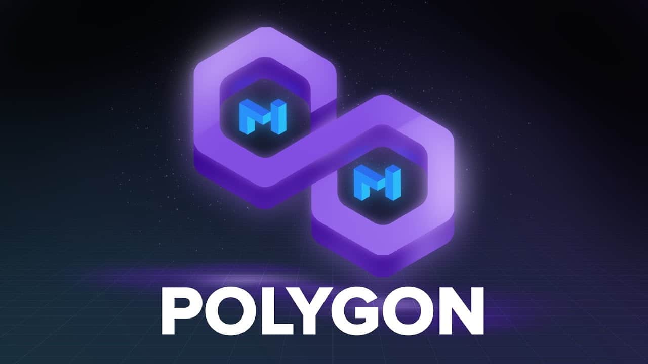 The action of the Polygon network grew strongly in the 2nd quarter of 2022 regardless of industry circumstances