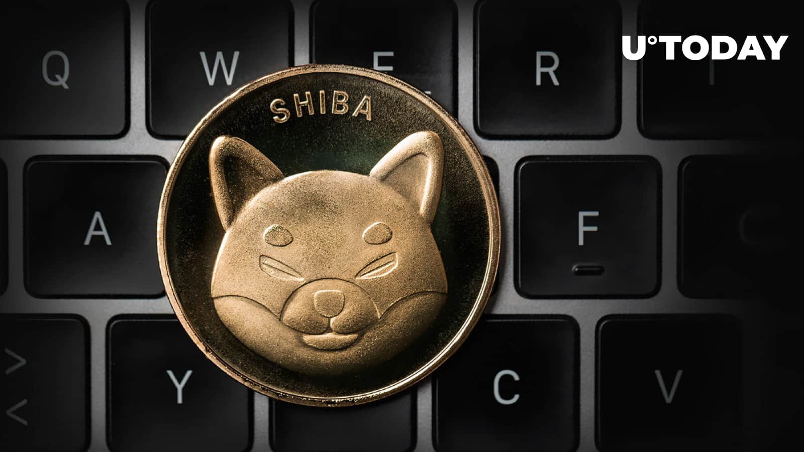 Shiba Inu’s approaching Class two Shibarium Gadget is powered by this crucial component: Details
