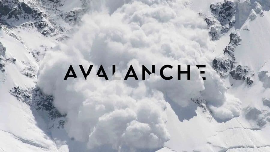 A vulnerability has appeared that could deliver down the Avalanche Network (AVAX).