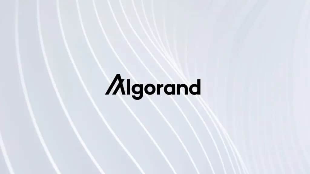 Algorand Foundation announces $ 35 million publicity to Hodlnaut