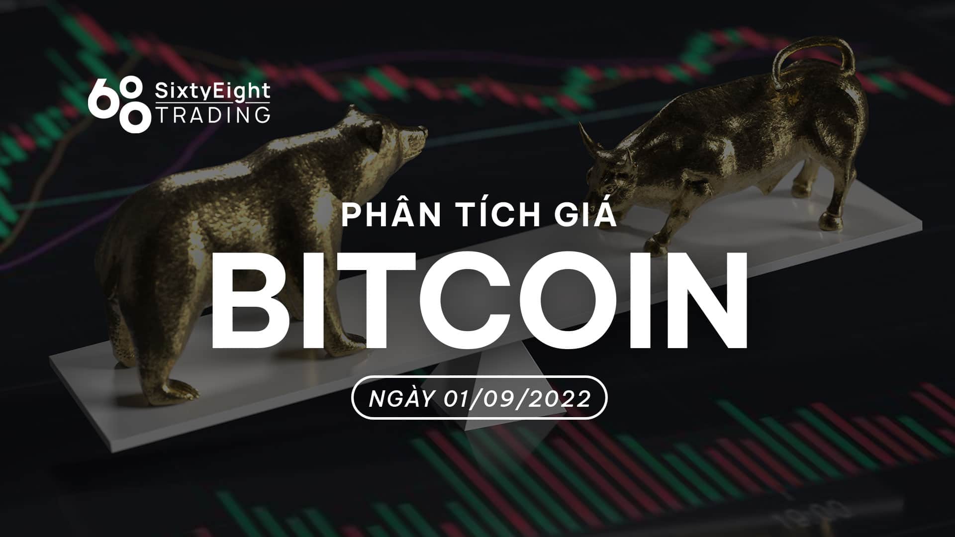 Bitcoin selling price examination September one, 2022