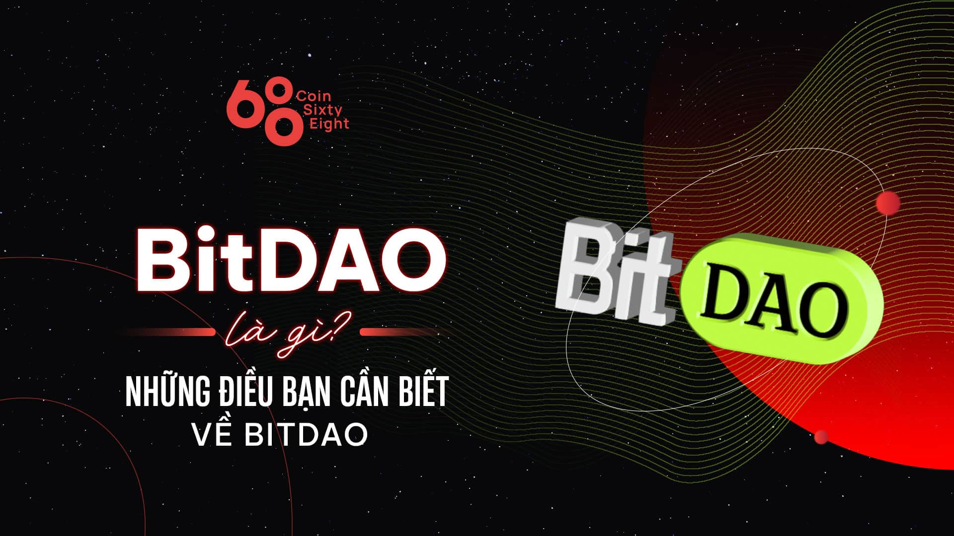What is BitDAO? Things you need to have to know about BitDAO
