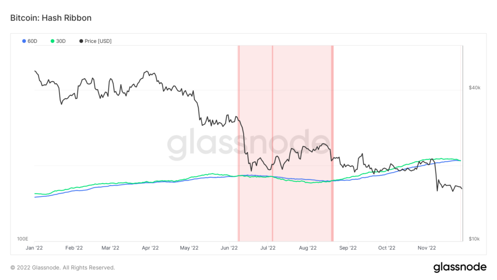 Bitcoin information most significant detrimental hash price adjustment in a yr