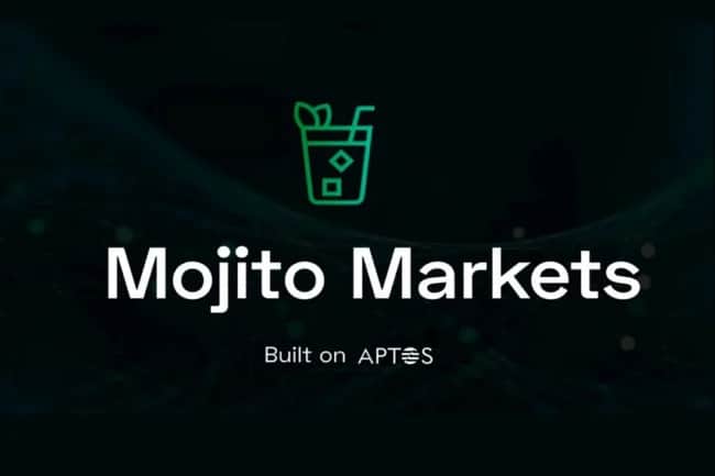 Mojito Markets abruptly terminated the task