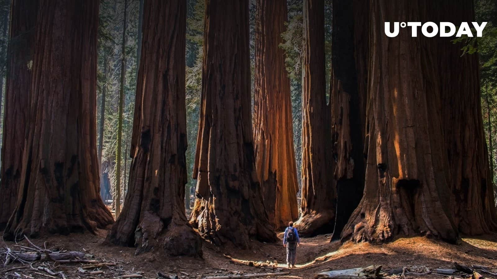 VC Giant Sequoia stays bullish on crypto