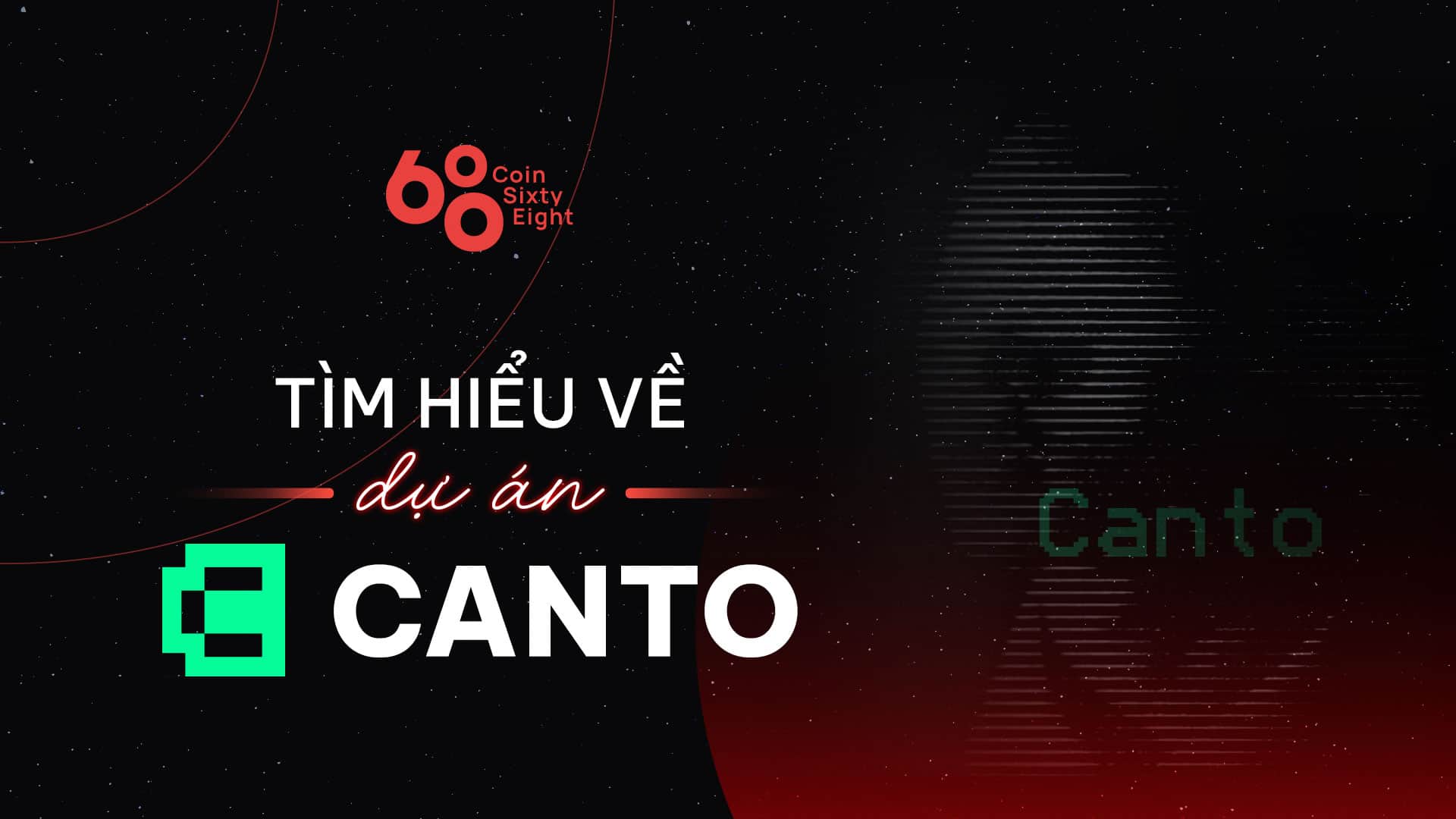 What is Singing? Detailed details about the CANTO undertaking and coin