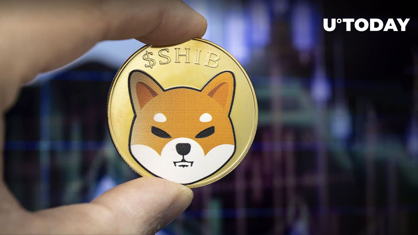 SHIB followers can not get adequate