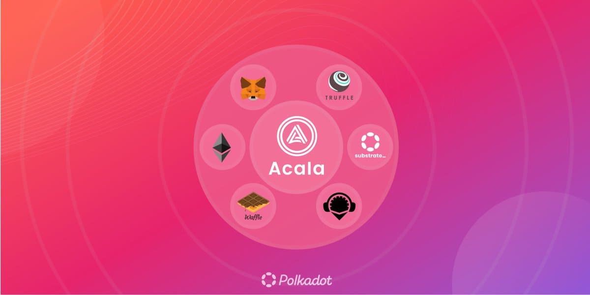 Acala launches an EVM compatible help option for Polkadot tasks