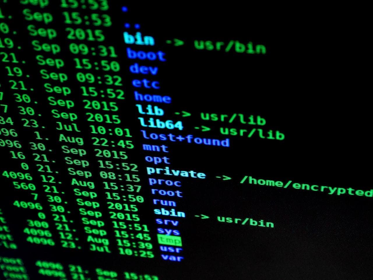 Let’s consider a search at some excellent AI tasks with CoinEx