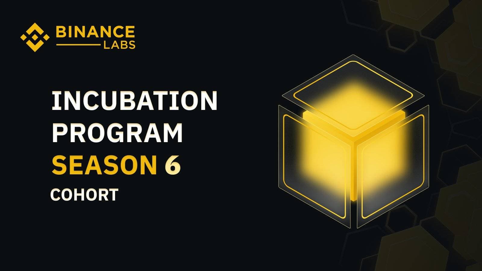 Binance Labs announced twelve accredited tasks for the Season six incubation round