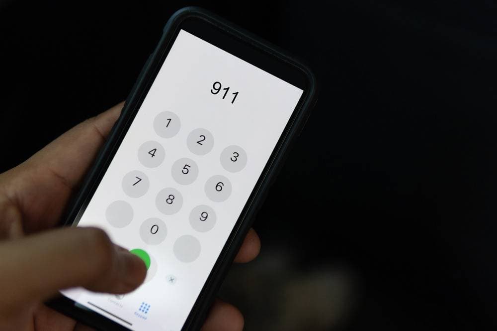 ‘Crypto Hotline’ Seal 911 Saves Project from $200,000 in Damage