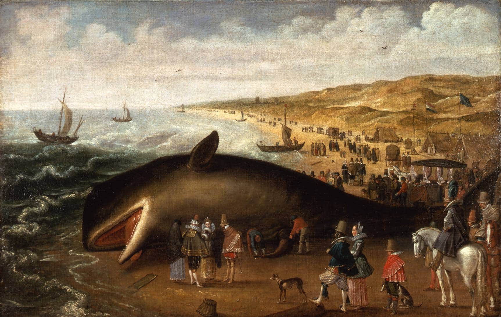 ETH “whale” stolen much more than $24 million due to phishing