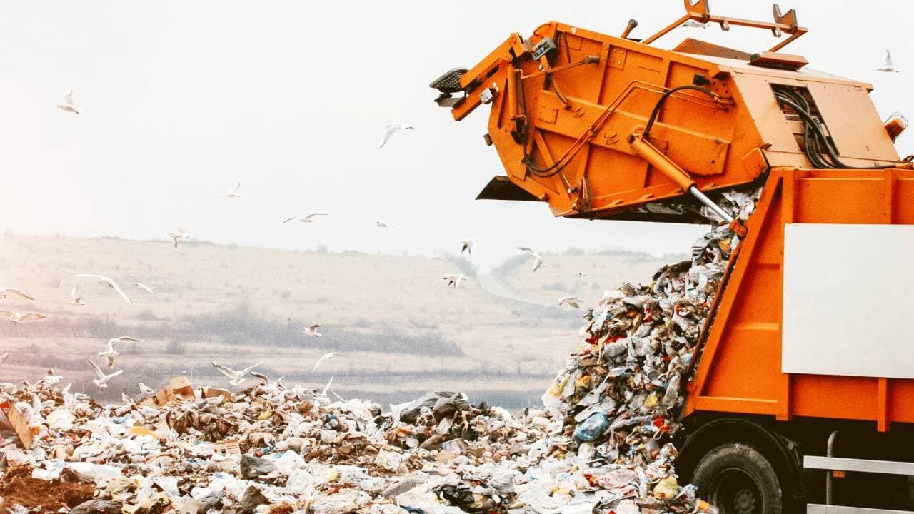 Person Sues City Council Over ‘Waste Disposal’ to Find Hard Drive Containing eight,000 BTC