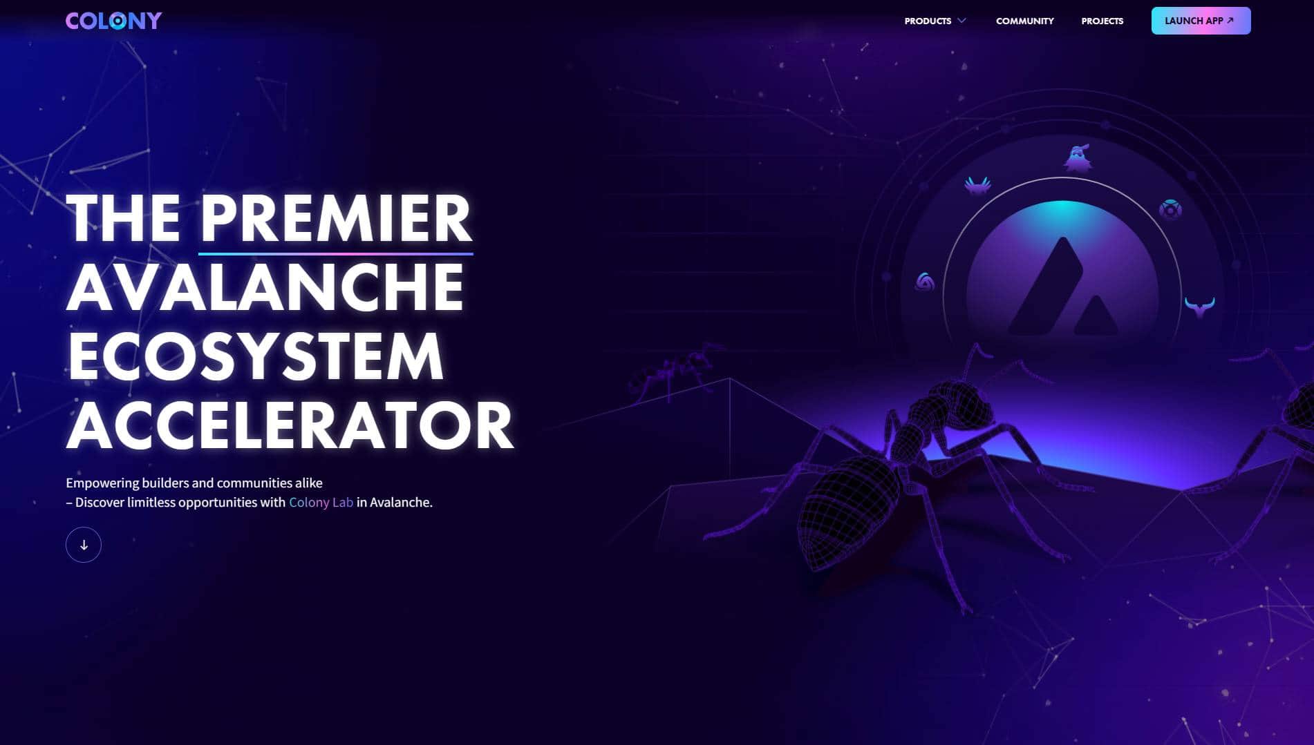 Colony Lab invests $ten million in the Avalanche (AVAX) ecosystem.