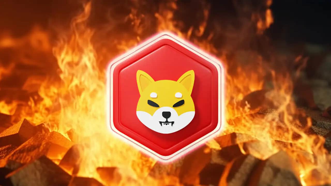 Shiba Inu burning price enhanced by 499,416%, will SHIB improve by $.one?