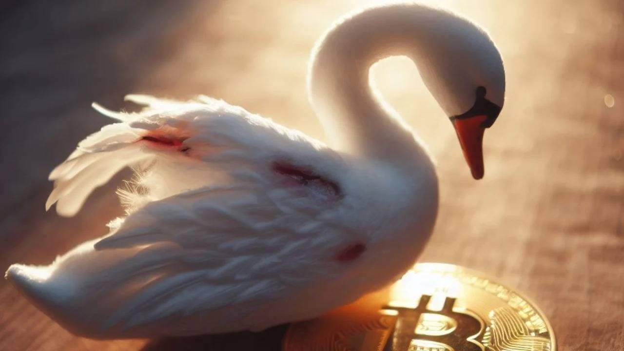 Swan Bitcoin blocks accounts that interact with coin mixing companies