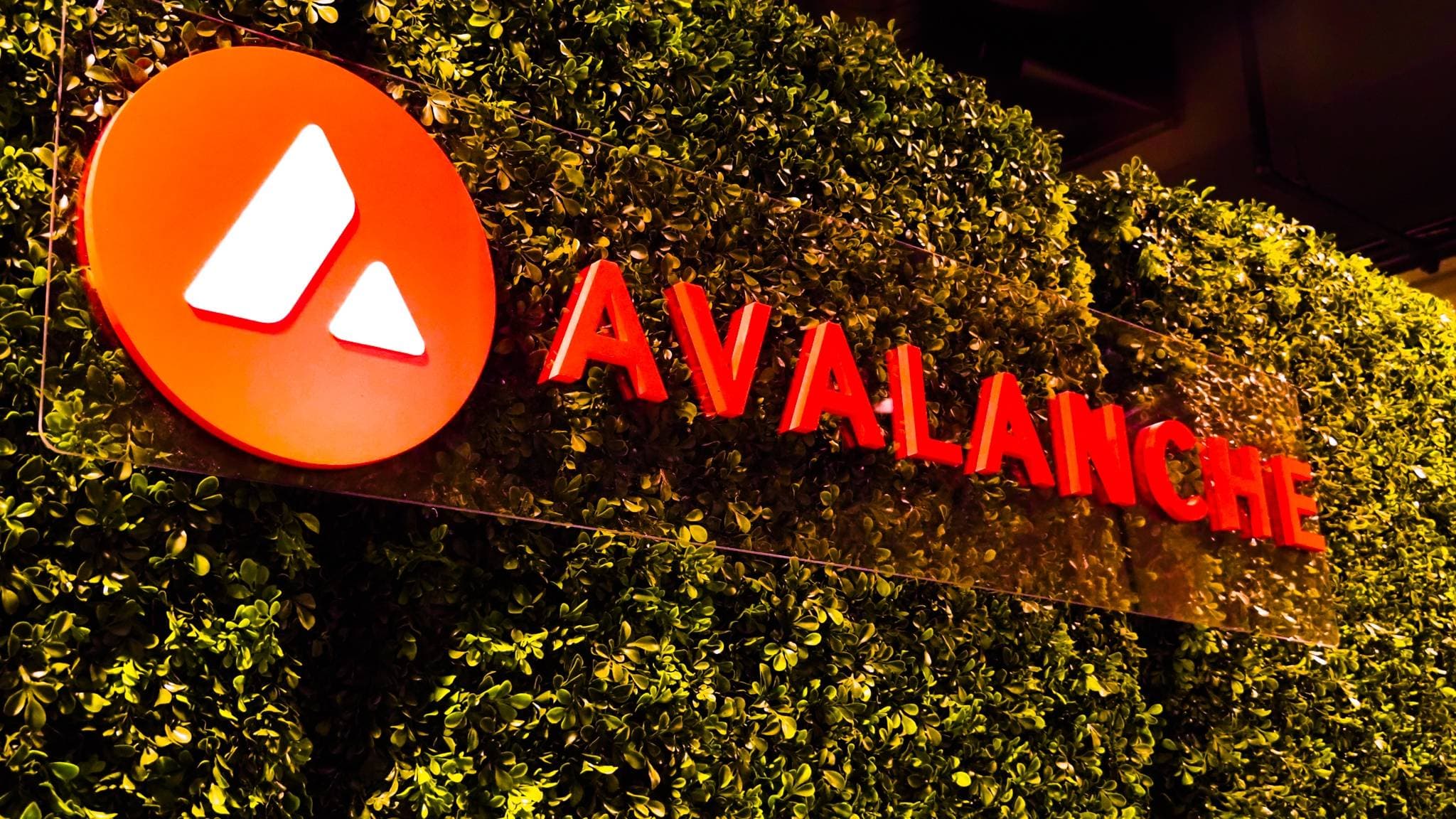 The avalanche response unit cuts twelve% of its workers