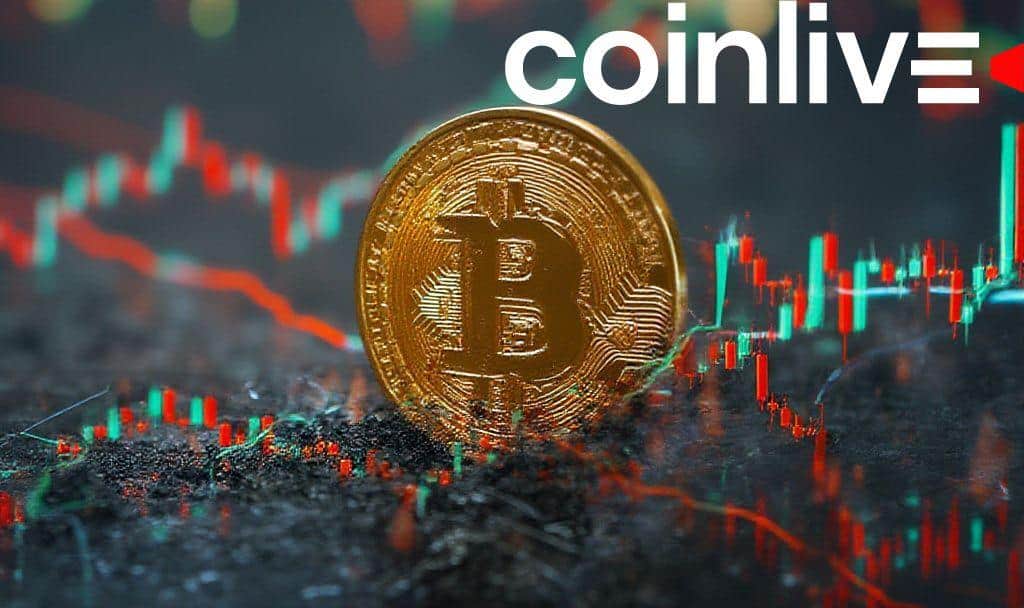 88% Bitcoin Supply in Profit Indicates Market Resilience