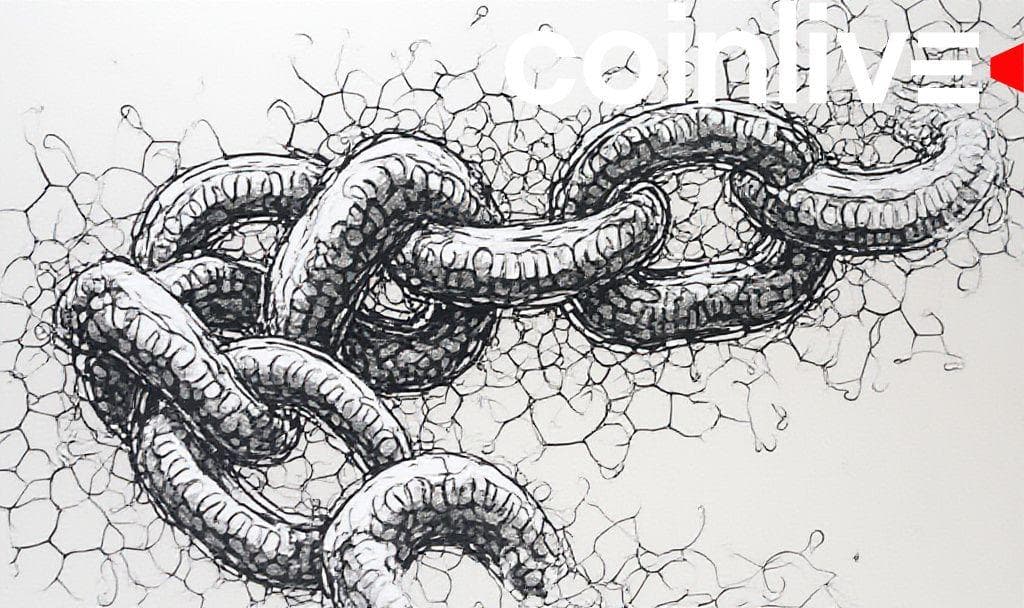 BNB Chain DEX Volume Peaks Amid Ethereum, Solana Comparison