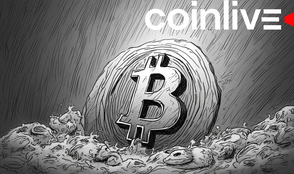 Bitcoin Gains Market Dominance as Altcoins See Sharp Declines