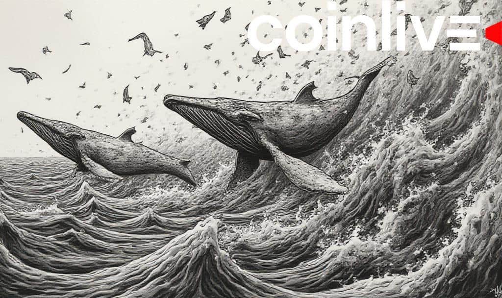 Ethereum Whales Buy $280M in ETH Amid Market Correction
