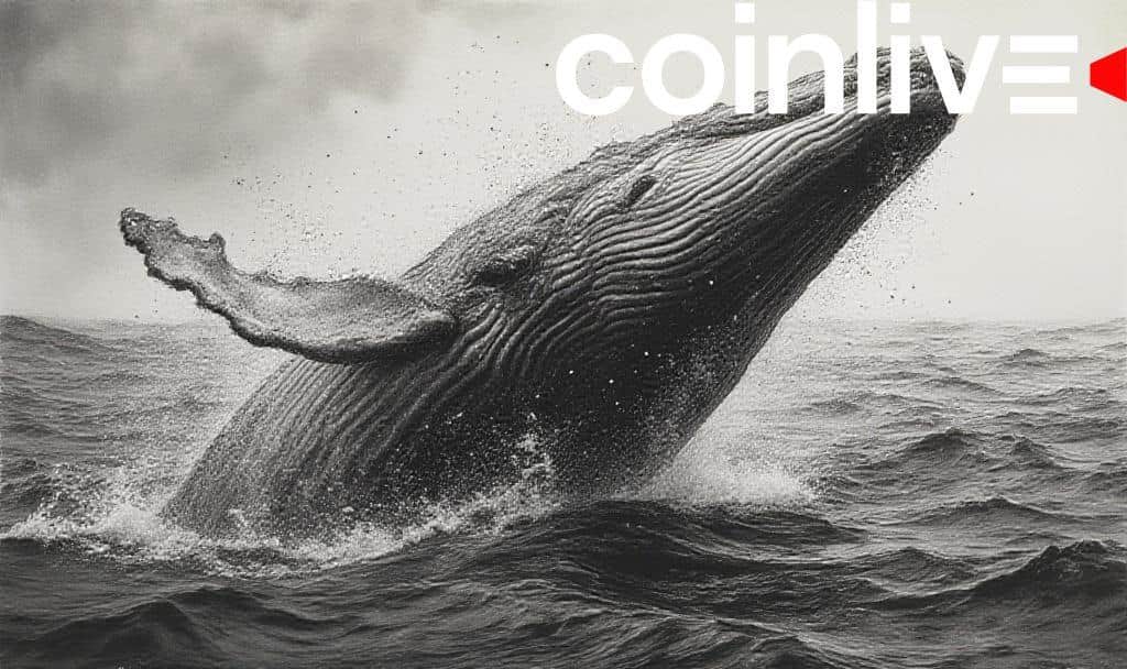 Ethereum Surpasses $4.2K Amid Whale Accumulation