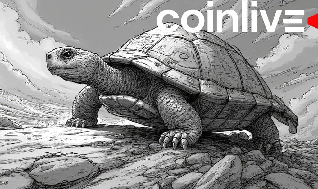 Turtle Introduces Liquidity Leaderboard for Crypto Market Transparency