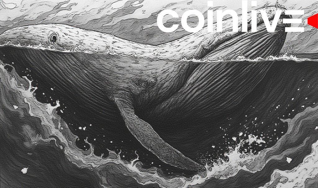 Cardano Whales Move 530M ADA in 48 Hours