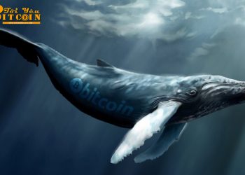 Những chú “cá voi” Bitcoin nổi tiếng trong thị trường crypto