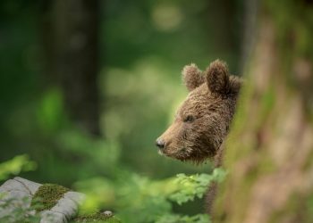 $270 million BUY positions liquidated before Bitcoin Halvingving